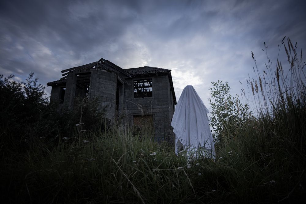 Photograph by Ilyin Evgeny