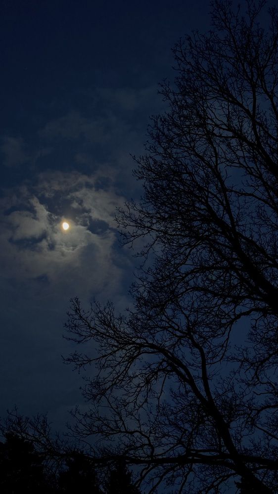 Photograph by Светлана Родионова