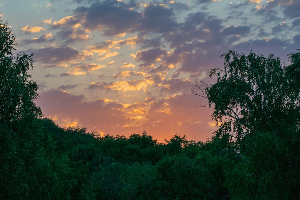 Photograph by Мамсур