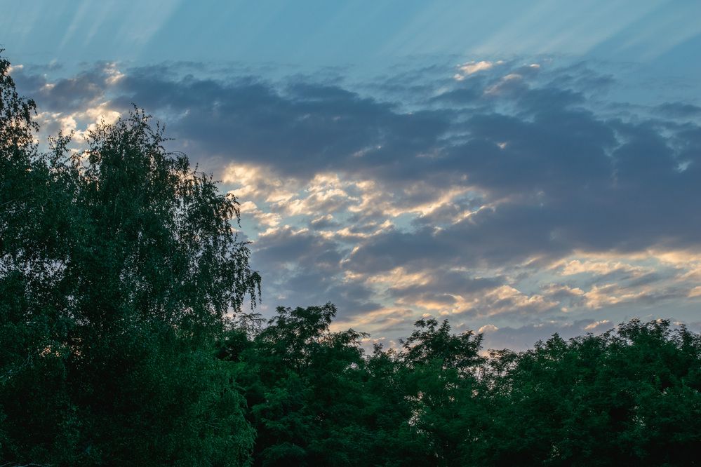 Photograph by Мамсур