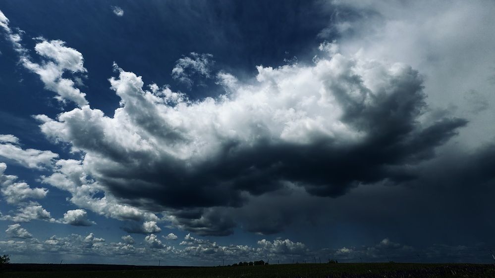 Photograph by Светлана Родионова