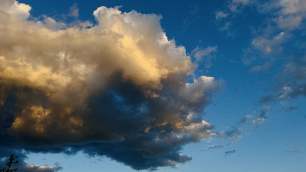 Photograph by Светлана Родионова