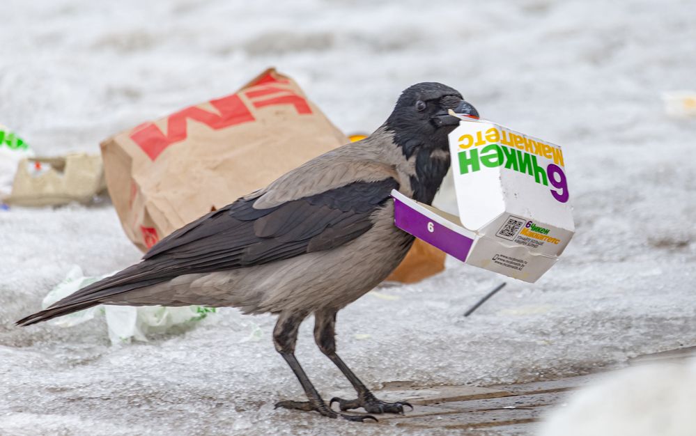 Photograph by Лев Постнов