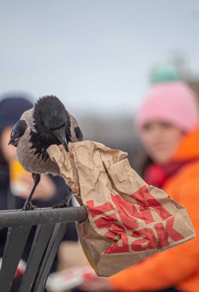 Photograph by Лев Постнов