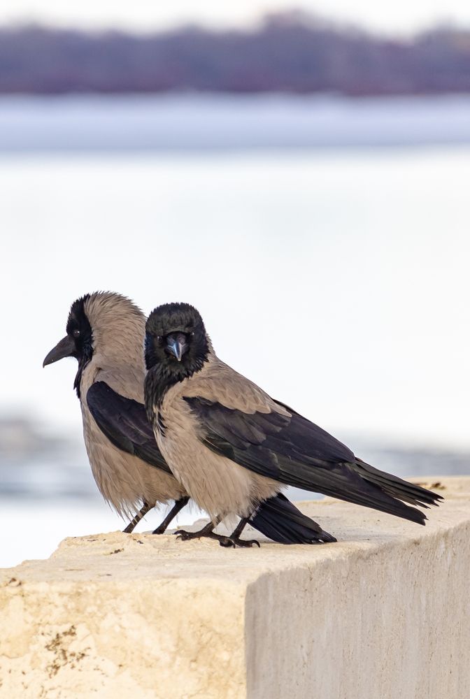 Photograph by Лев Постнов