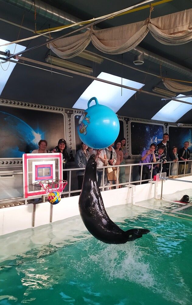 Фотография автора Елена Александрова