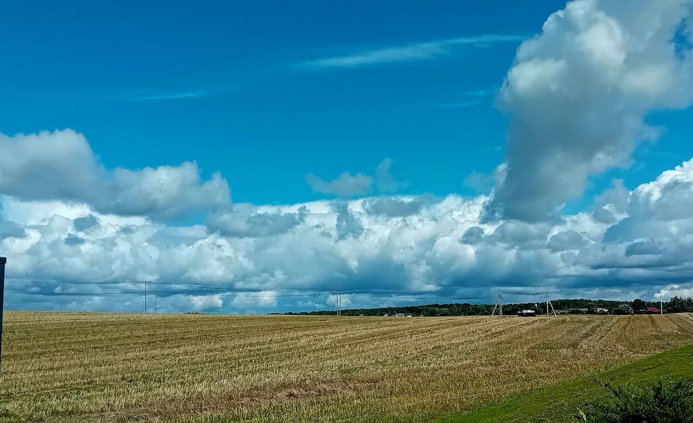 Фотография автора Alena Makushina