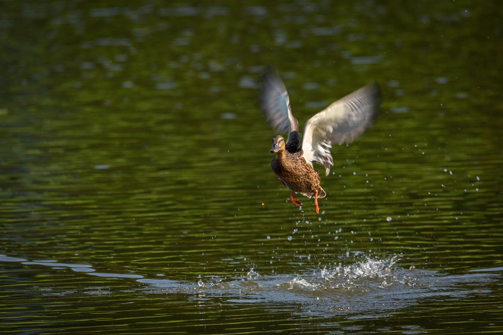 Photograph by Владислав Лопатов