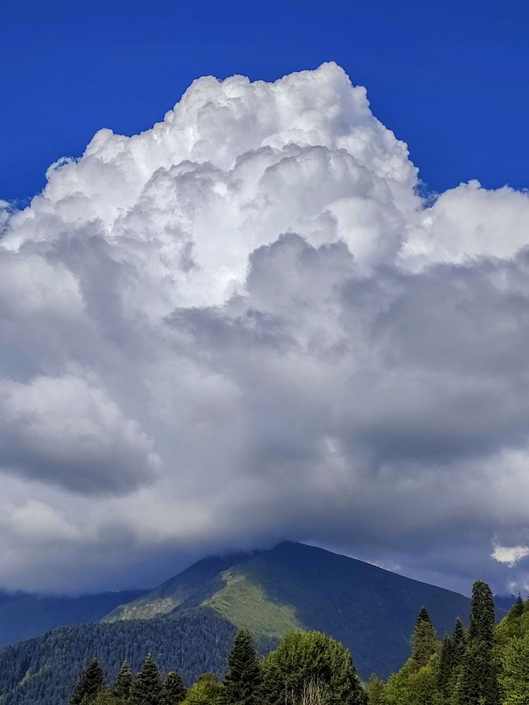 Фотография автора Татьяна Петренко