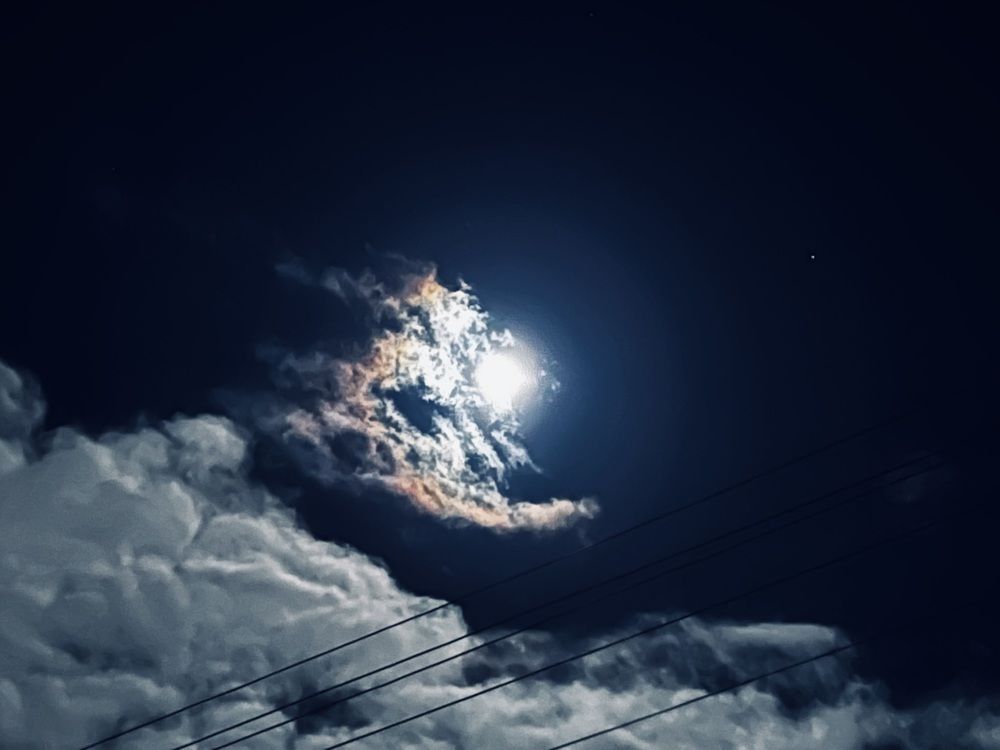 Photograph by Kira Ko