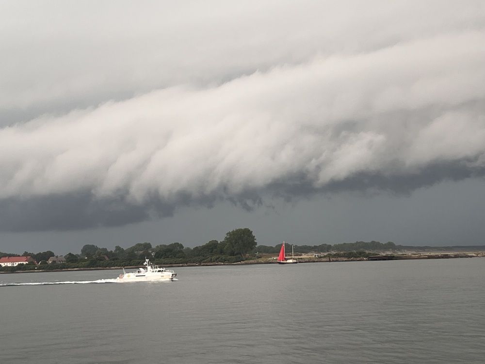 Photograph by Kira Ko