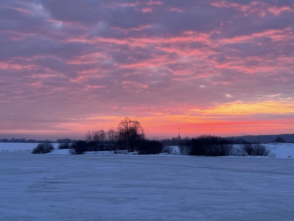 Photograph by Kira Ko