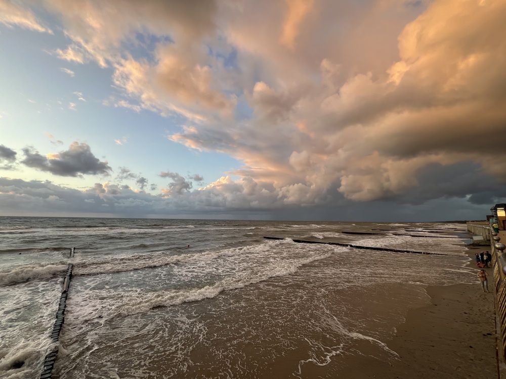 Photograph by Kira Ko