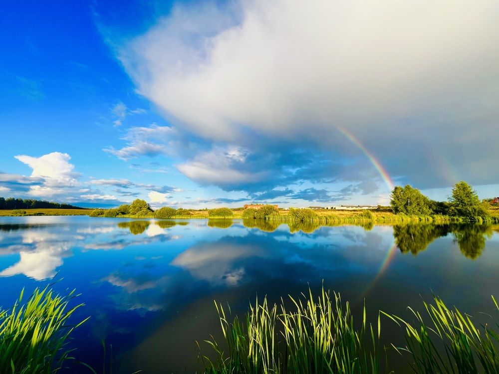 Photograph by Kira Ko