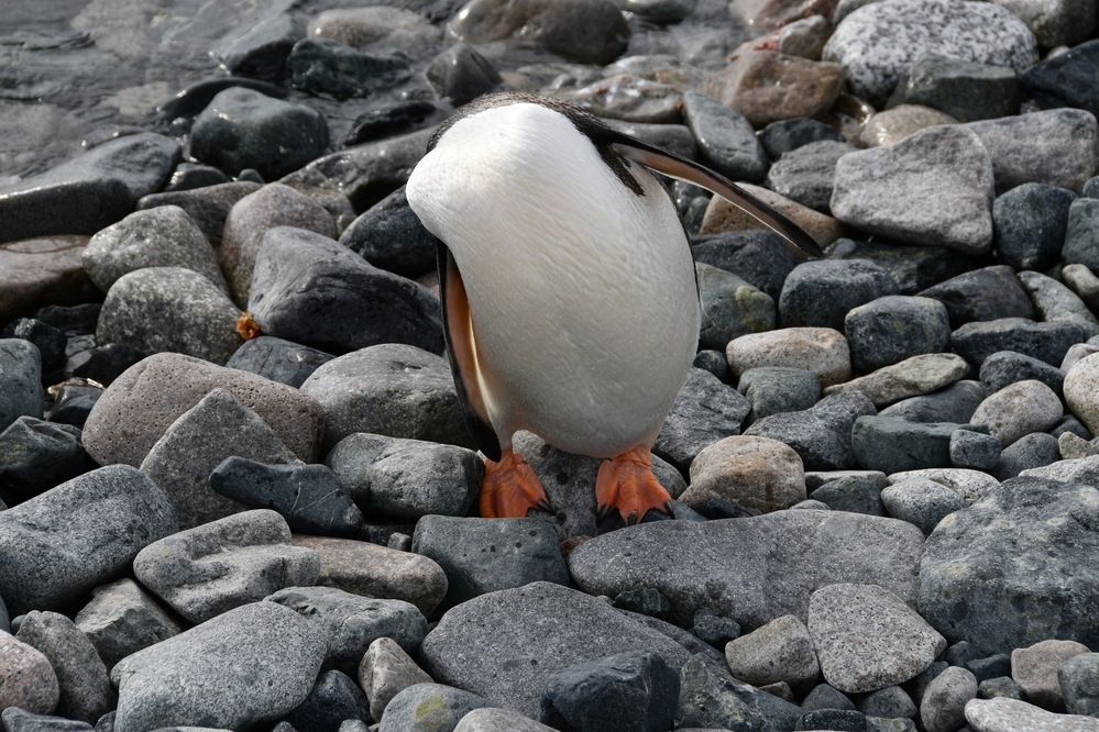 Photograph by Вячеслав Косенков