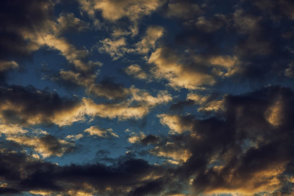 Фотография автора Милорадов Илья