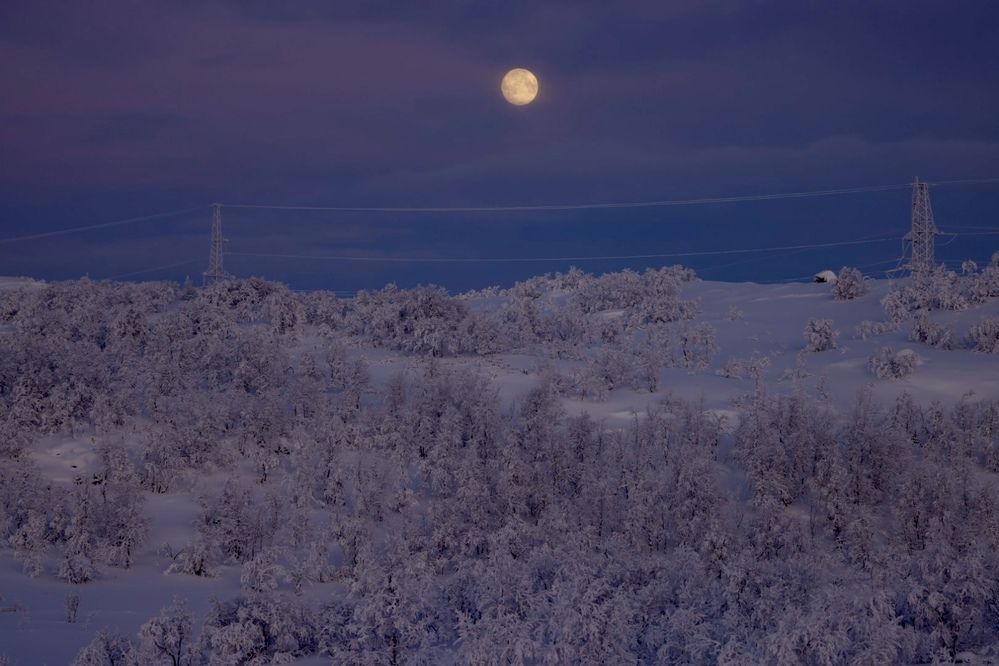 Photograph by Одаренко Ольга