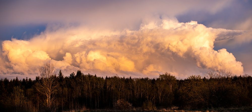 Photograph by Pavel Smekalov