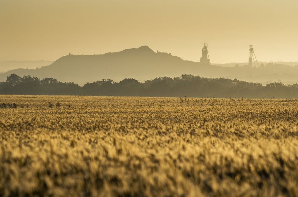 Photograph by Олег Коваль