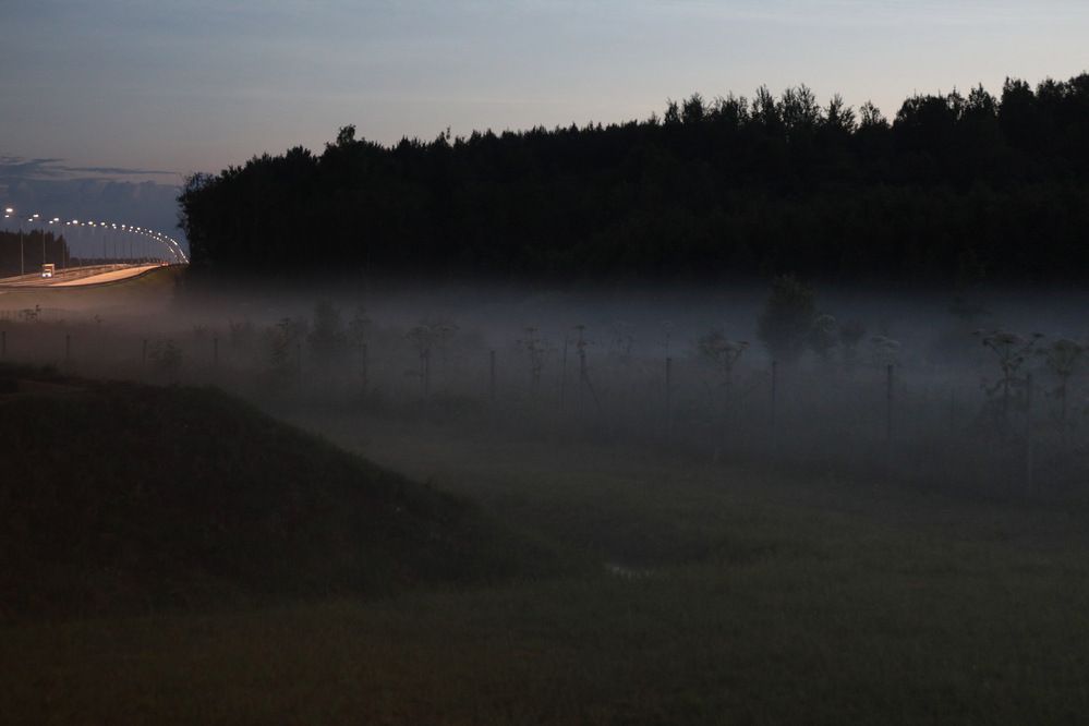 Photograph by Сергей Захаров