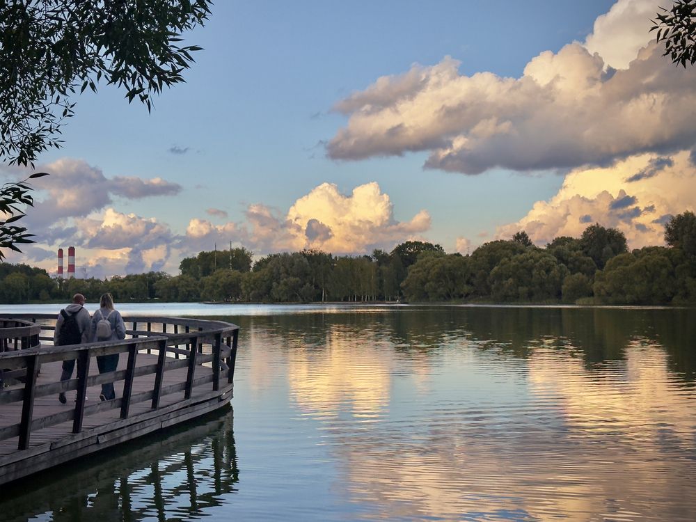 Фотография автора Васильева Светлана