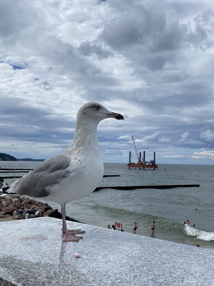 Photograph by Елизавета Корнилова