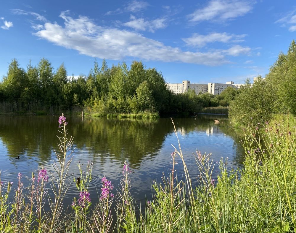 Лето на крайнем Севере