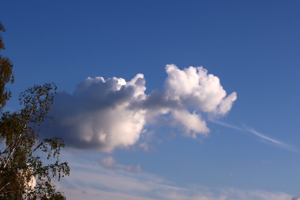 Что изрыгает курносое облако?