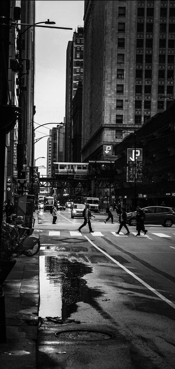 City in Motion