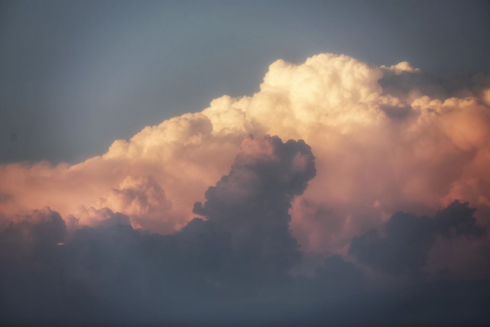 Photograph by Oksana Shchegolkova