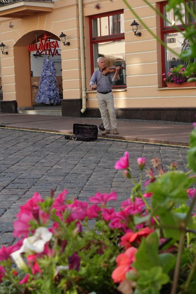 Photo #12514603