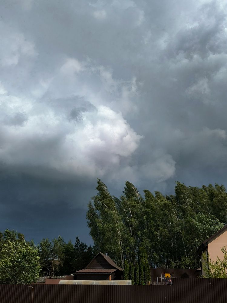 Photograph by Людмила Емельянчикова