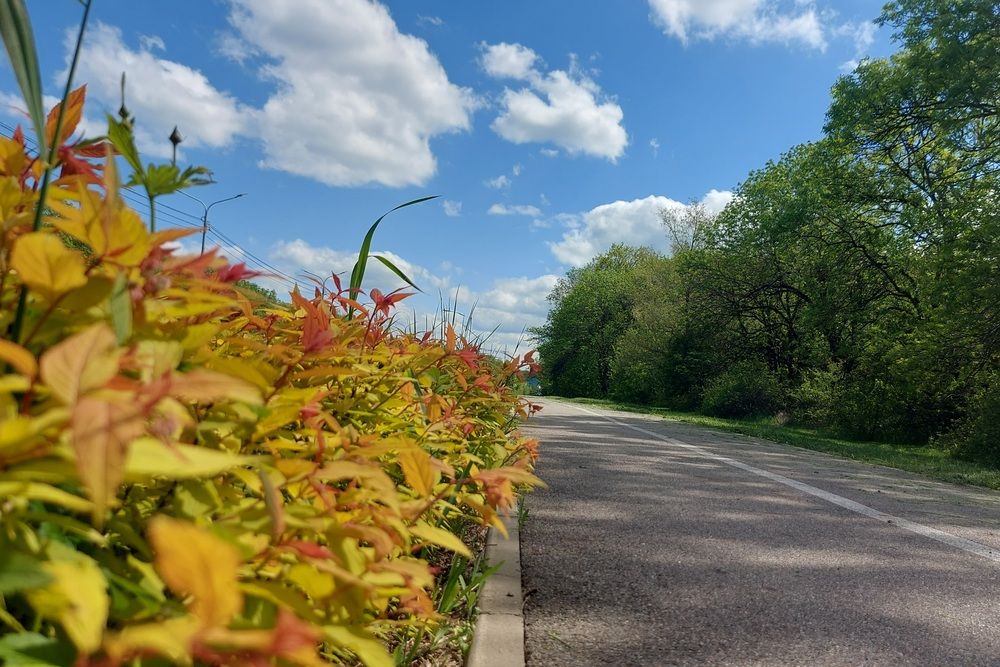 Фотография автора Елена Чурилова