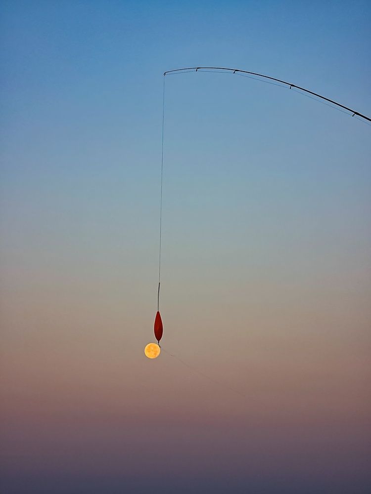 Photograph by Лариса Когтева