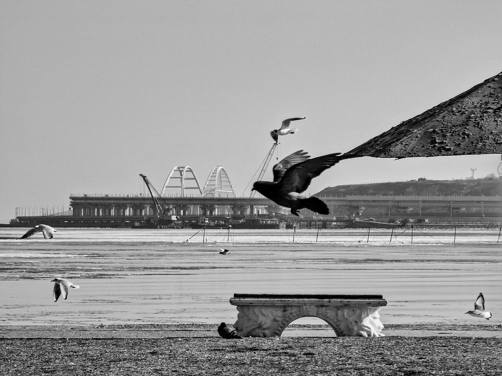 Photograph by Лариса Когтева