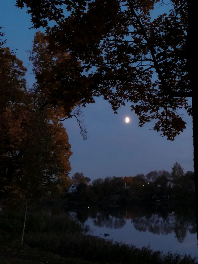 Photograph by Людмила Емельянчикова