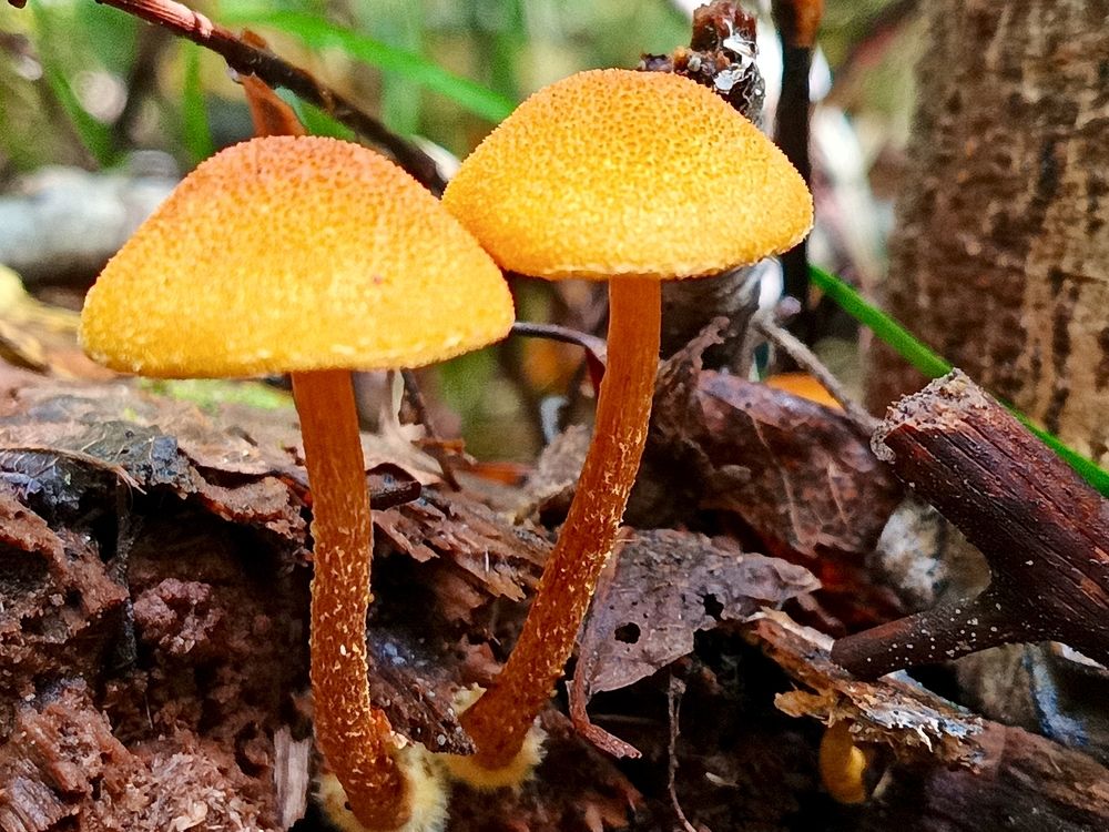 Photograph by Татьяна Бешенкина