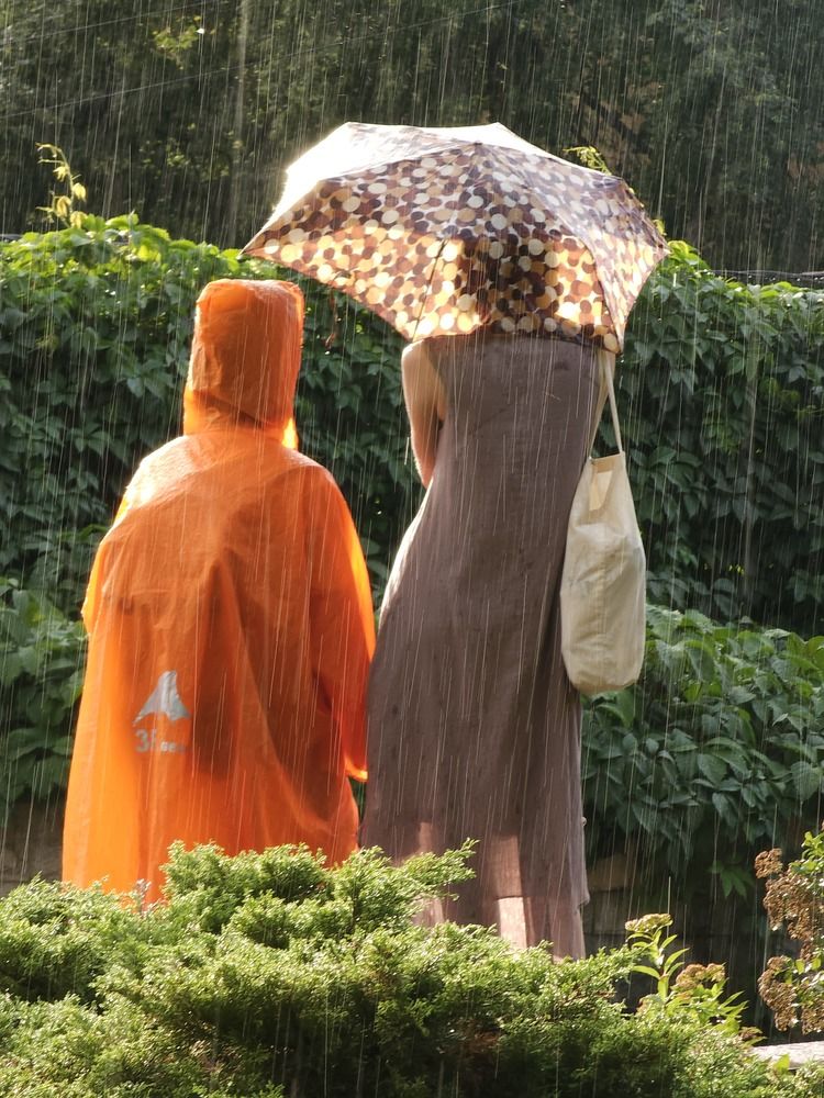 Photograph by Natali AB