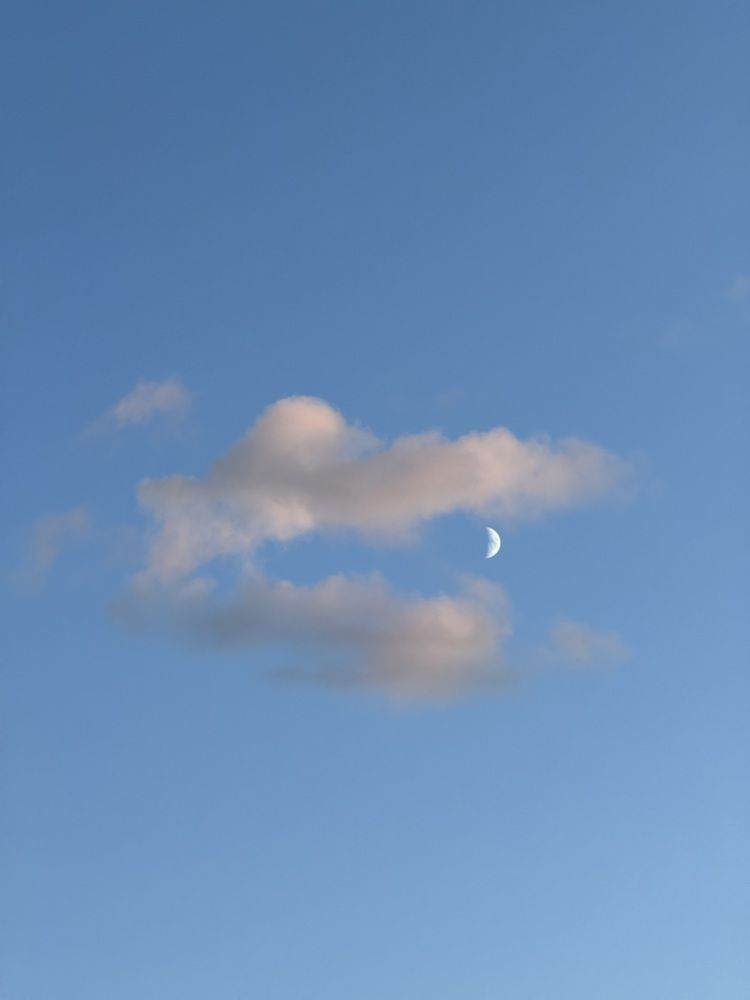 Фотография автора Татьяна Шайпак