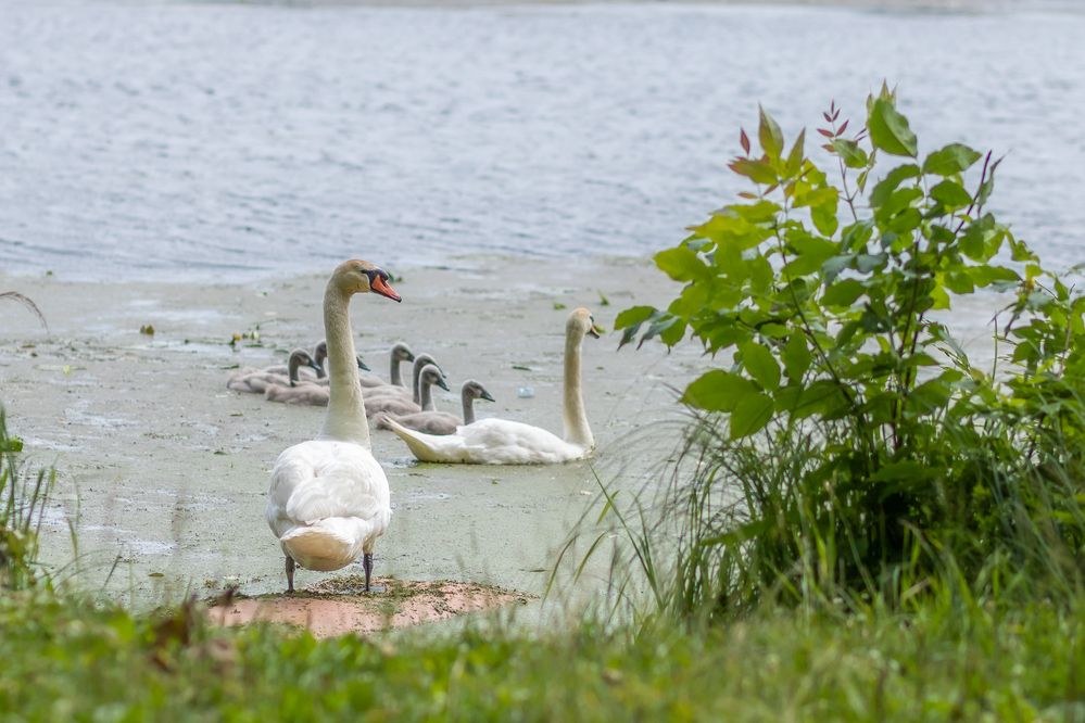 Фотография автора Панагушин Сергей