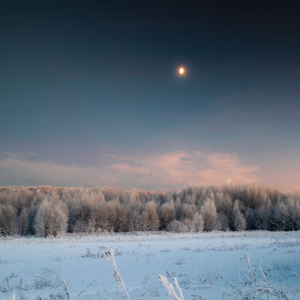 Фотография автора Панагушин Сергей