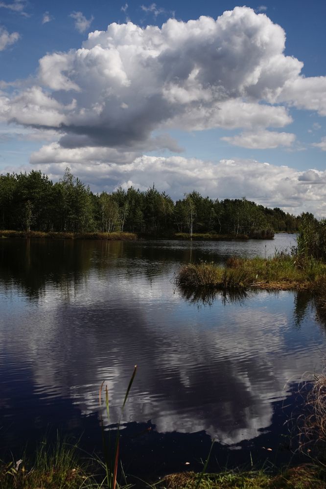 Photograph by Гусева Марина