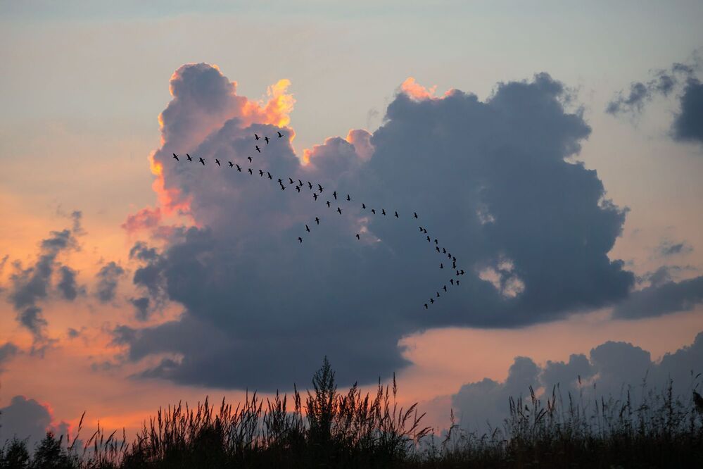 Утренний перелет