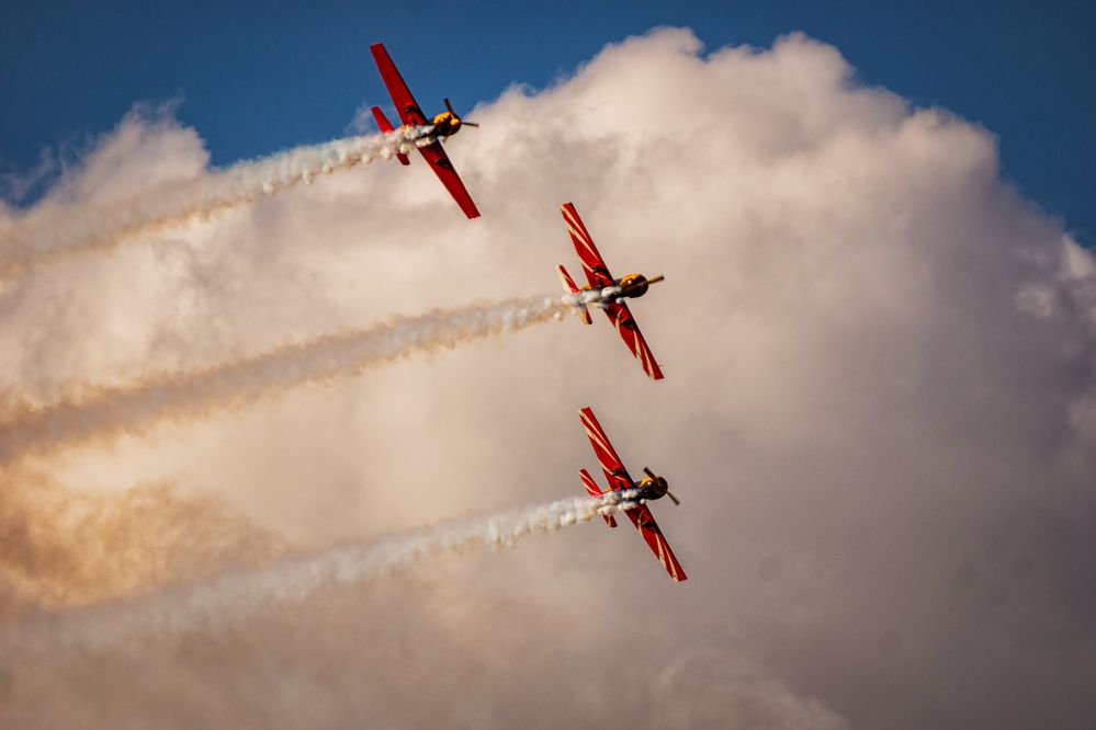 Фотография автора Тамара Нижельская