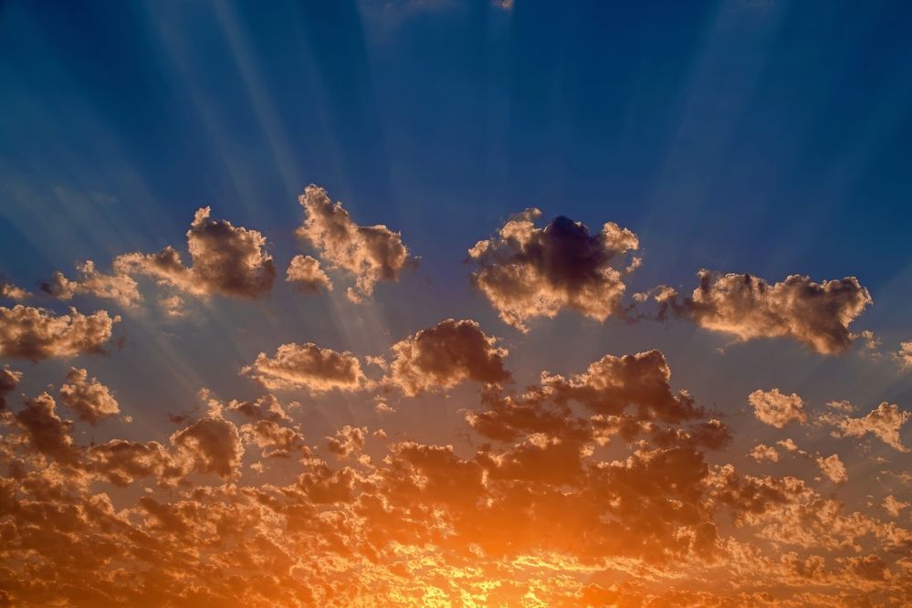 Photograph by Михаил Косолапов