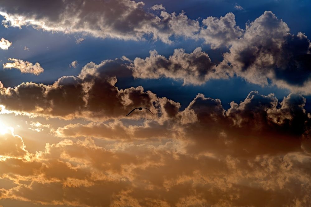 Photograph by Михаил Косолапов