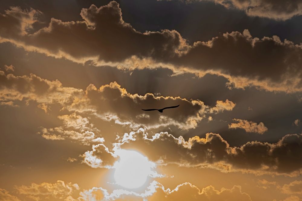 Photograph by Михаил Косолапов