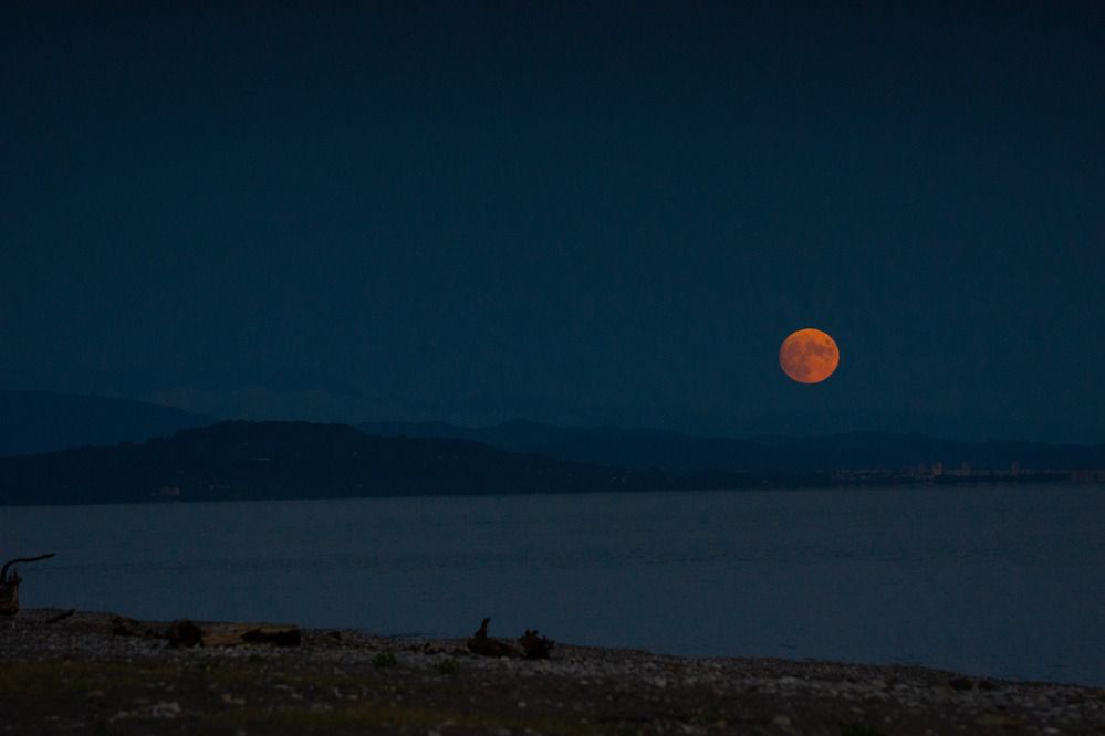 Фотография автора Тамара Нижельская