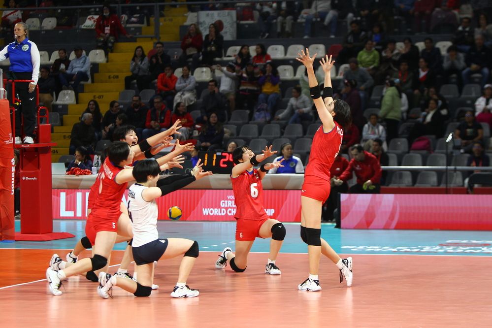 CELEBRACIÓN DE JAPÓN