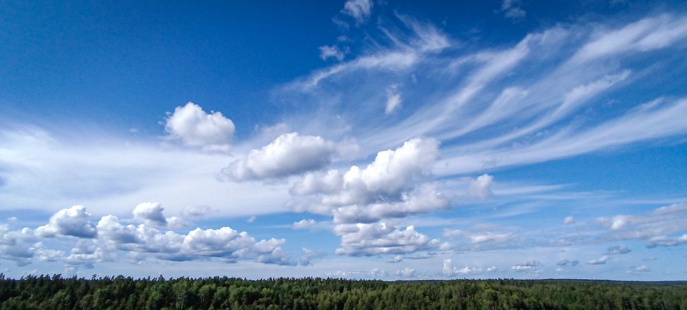 Photograph by Елизавета Турутина